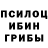 Псилоцибиновые грибы прущие грибы Andre Moisenko