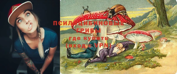 соль ск Заволжье